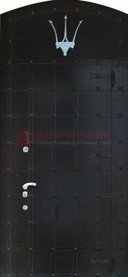 Металлическая арочная дверь ДА-22 высокого качества в Электроуглях