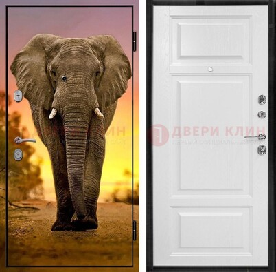 Металлическая дверь с фотопечатью слона ДФ-30 в Электроуглях