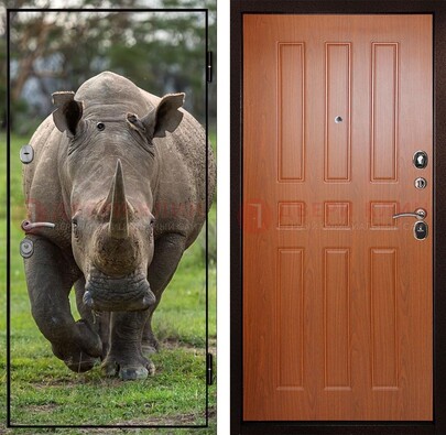 Металлическая дверь с фотопечатью носорога ДФ-31 в Электроуглях