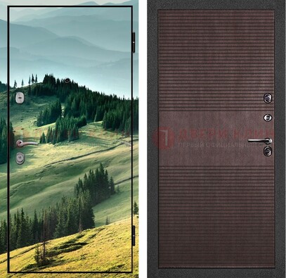 Входная дверь с фотопечатью леса ДФ-34 в Электроуглях