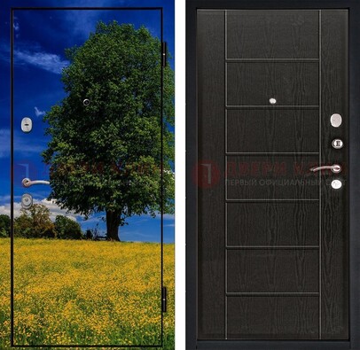 Железная дверь с фотопечатью дерева в поле ДФ-36 в Электроуглях