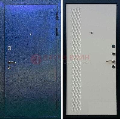 Синяя железная дверь с порошковым напылением ДП-49 в Электроуглях