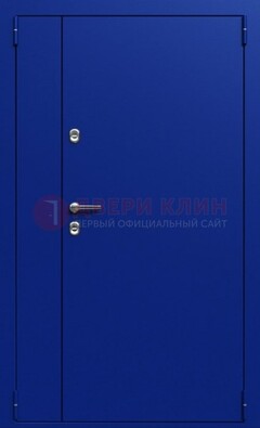 Синяя тамбурная дверь ДТМ-23 в Электроуглях