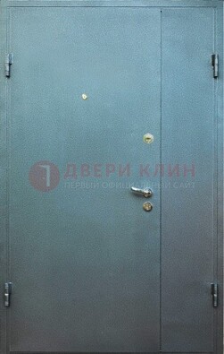 Серая тамбурная дверь ДТМ-34 в Электроуглях